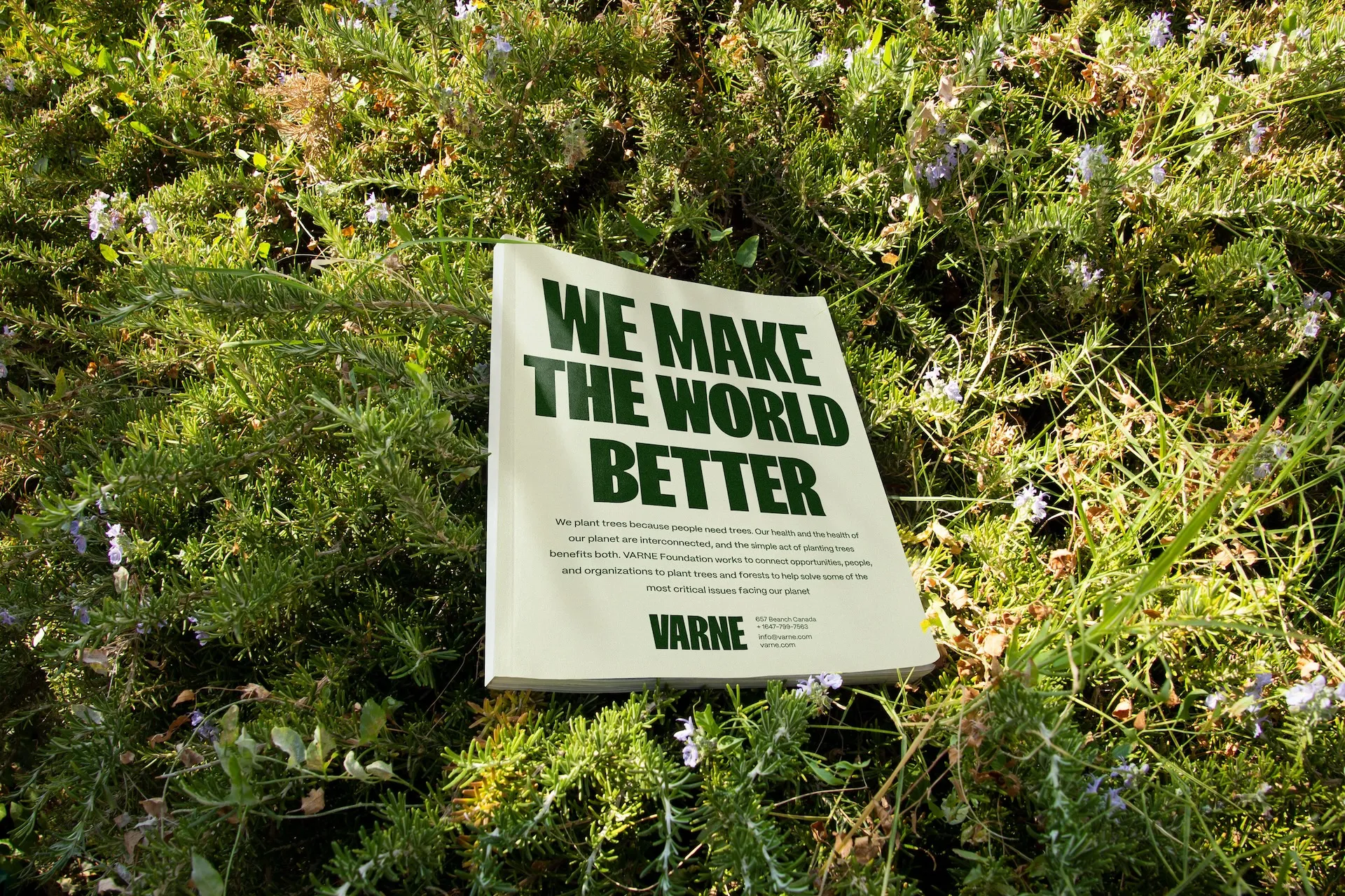Varne environmental brand identity case study by Minto