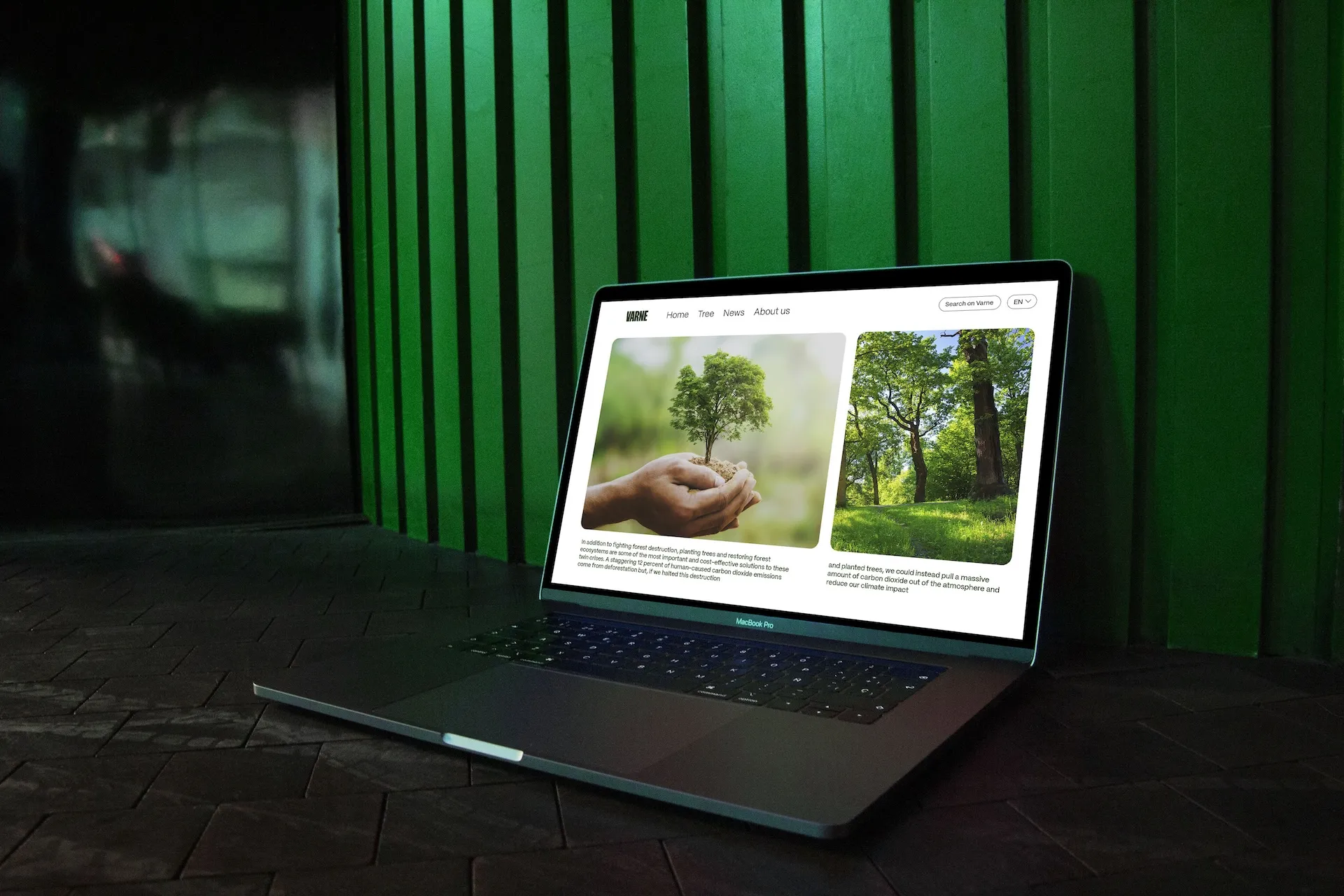 Varne nature-led logo and visual system